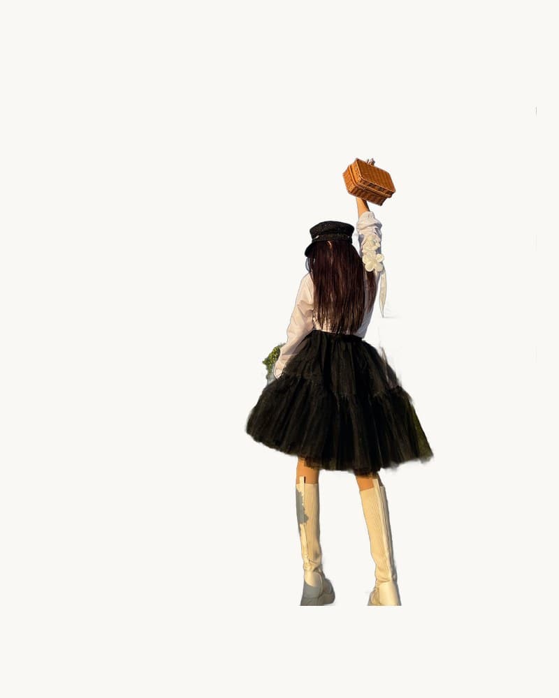 Black Tulle-layered High-waist A-line Skirt, Women's Tutu 1